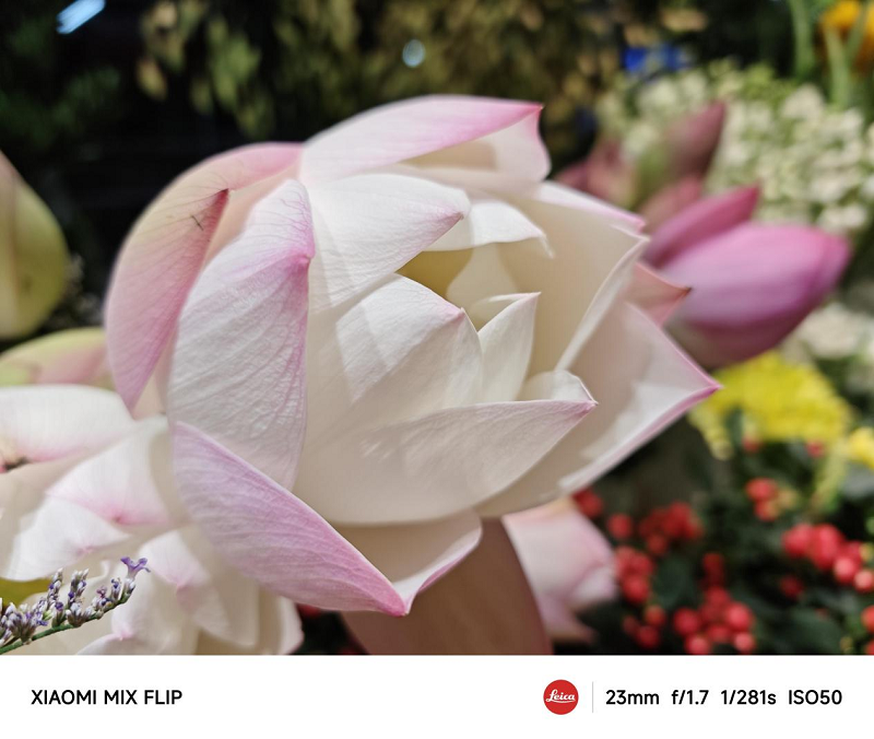 小米MIX Flip   有料有趣 不可错过的全能小折叠