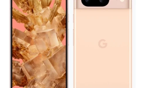 谷歌首批印度制造的 Pixel 8 手机成功下线
