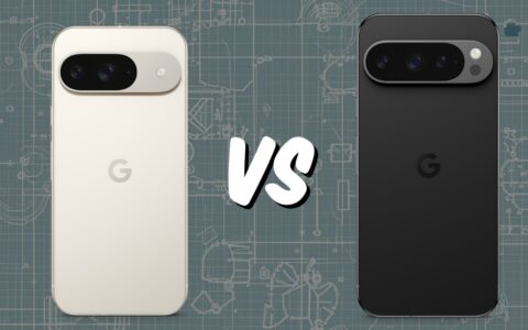 谷歌Pixel 9 vs Pixel 9 Pro：旗舰对决，细探谷歌双雄的异同
