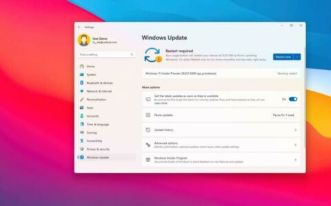 微软Win11 Canary预览版现“Dev”标记，渠道划分引关注