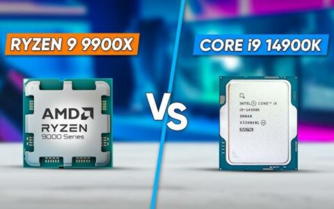 Intel Core i9-14900KS vs AMD Ryzen 9 9900X产品对比分析