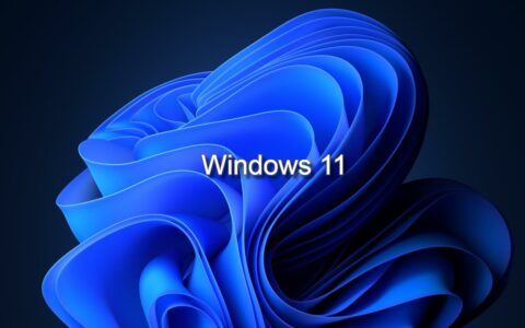 微软Windows 11 Dev预览版隐藏功能：同一摄像头支持多应用同时使用