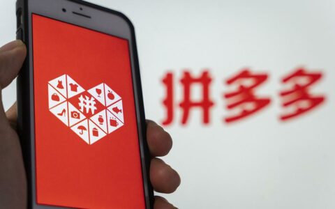 拼多多发布2024年Q2财报：营收同比大增86%，净利润翻倍增长