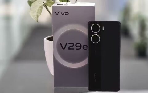 Vivo V29e灾情全面分析与应对策略