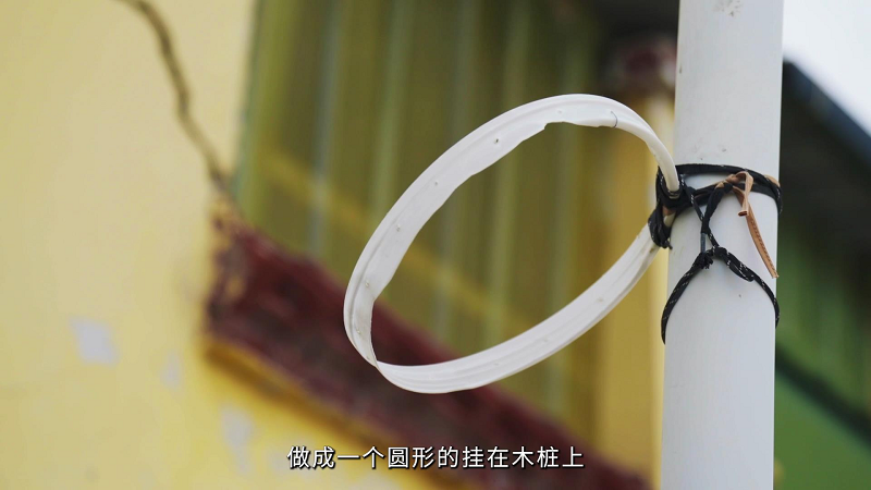 腾讯未来运动场项目三周年：全国落地48个运动场，助力乡村学生健康成长