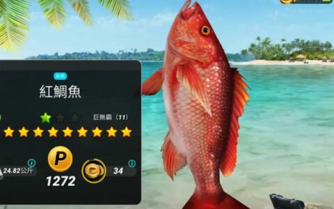 《Fishing Clash》礼包码攻略：功能、获取途径与应用技巧