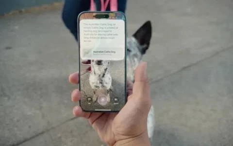 苹果与谷歌的搜索合作关系新转变！iPhone 16相机直接调用谷歌搜索