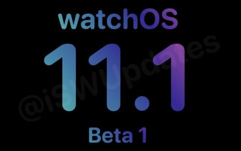 苹果发布watchOS 11.1开发者预览版Beta 1更新
