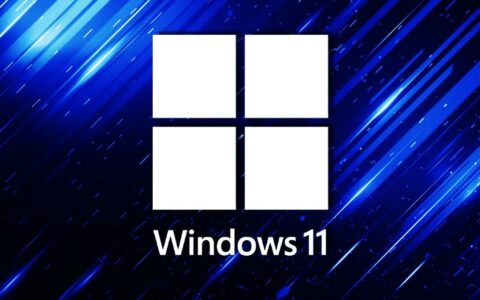 Windows 11灾情：系统更新引发的广泛问题与挑战