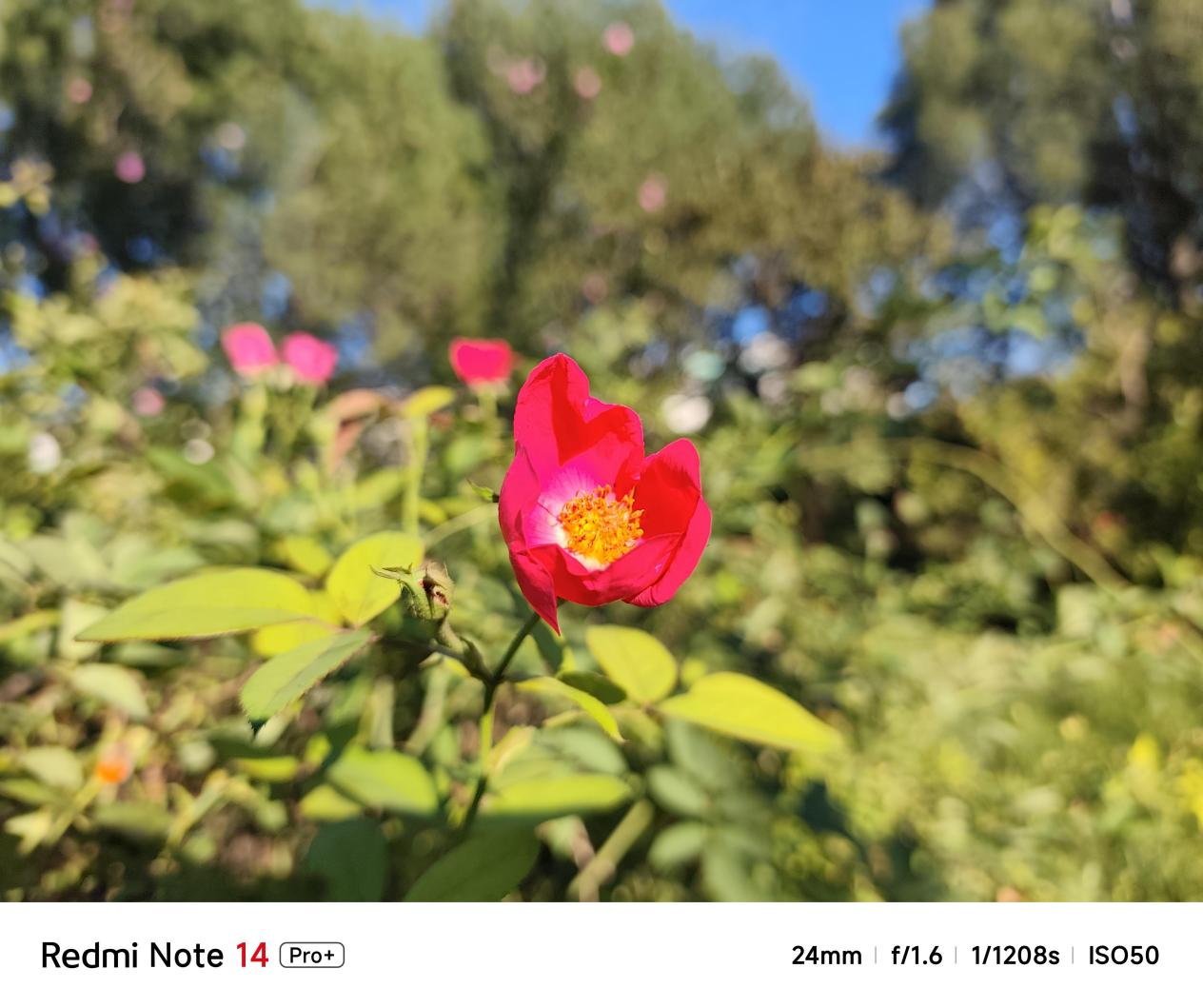 实测Redmi Note 14 Pro + ：金刚品质打造超强六边形战士