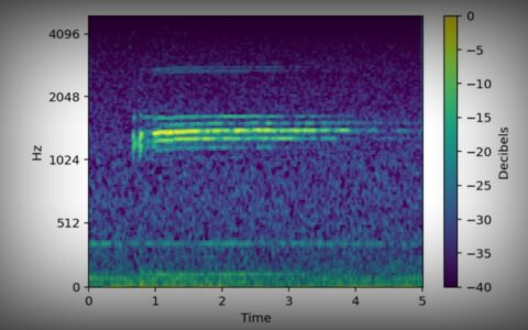 谷歌发布先进鲸鱼声音识别AI模型，助力海洋科学研究