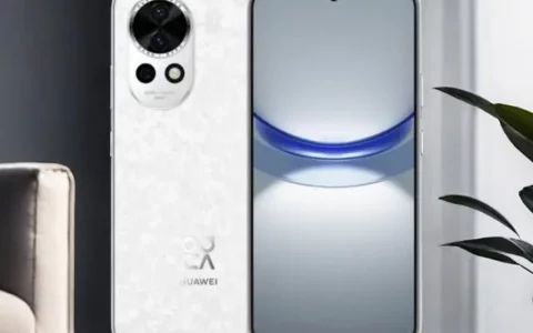 华为HUAWEI nova 12 vs nova 12 Pro：哪款更适合你？