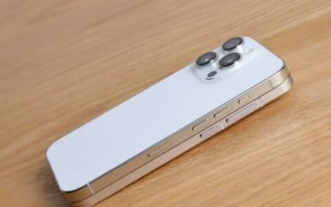 vivo X200 Pro mini外观正式揭晓：小尺寸满配旗舰来袭
