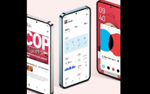 iQOO 13爆料：直屏窄边框设计，性能与配置全面升级