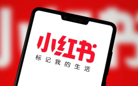 小红书一季度销售额破10亿美元，净利润大增至2亿美元