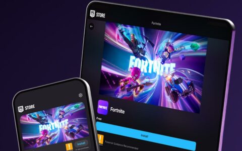 谷歌上诉请求暂停执行Epic诉讼判决，称危及Android安全