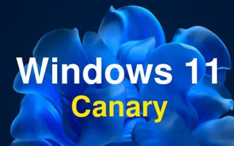 微软推送Windows 11 Insider Preview Build 27729：Copilot键可自定义，多项Bug得到修复