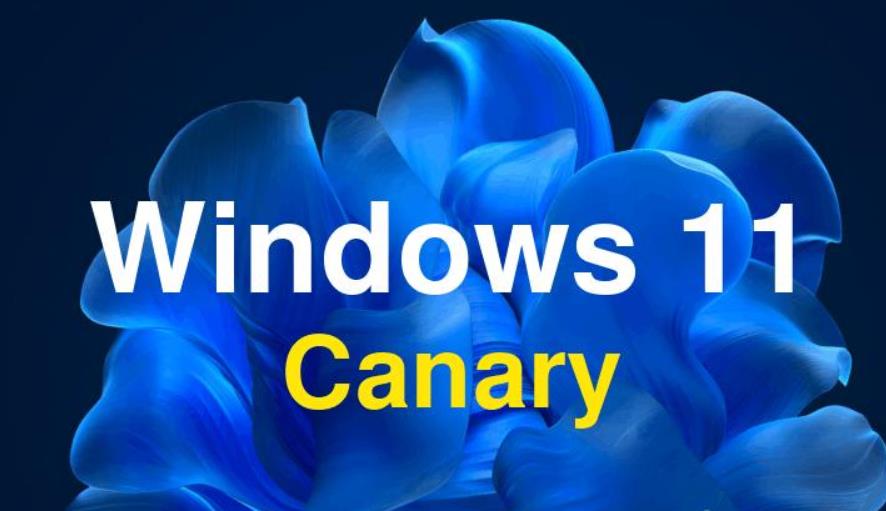 微软推送Windows 11 Insider Preview Build 27729：Copilot键可自定义，多项Bug得到修复
