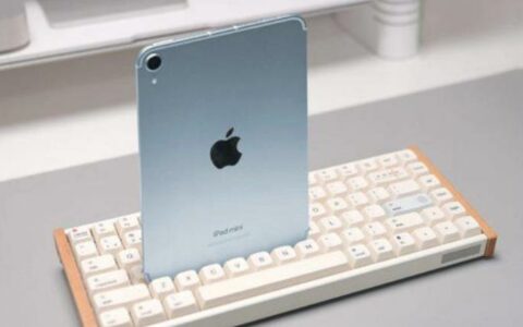 iPad mini评测：性能大幅提升，小巧便携仍是最大亮点