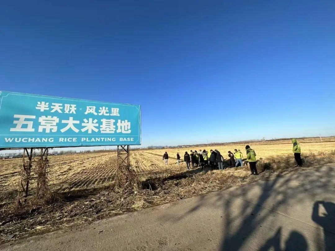 7000亿大米市场，除了金龙鱼、福临门，谁还在赚钱？