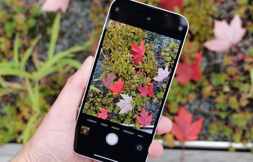 苹果推出iPhone 14 Plus后置摄像头免费维修计划