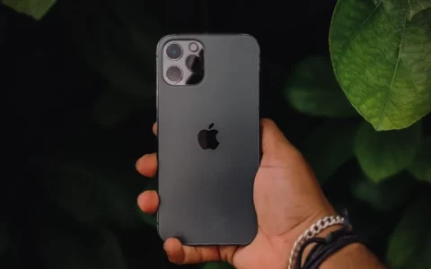 2024 年最佳 iPhone 购买指南 ！黑色星期五优惠哪款 iPhone 最适合你？