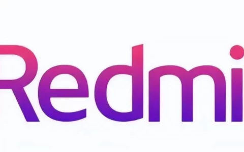 疑似Redmi K80真机照泄露：外观设计大改 比前代更精致