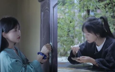李子柒回归，两条新视频引爆网络