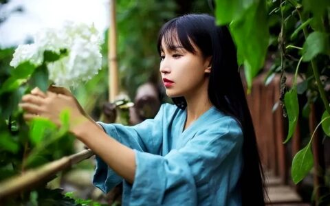 李子柒回来了！停更三年归来仍然是顶流