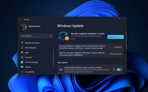 Win11 24H2灾情：部分用户无法安装微软11月安全更新