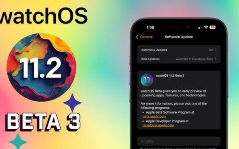 苹果推送watchOS 11.2开发者预览版Beta 3更新，提升系统稳定性