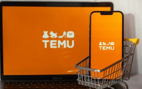 Temu正式进军尼日利亚电商市场，拓展非洲业务