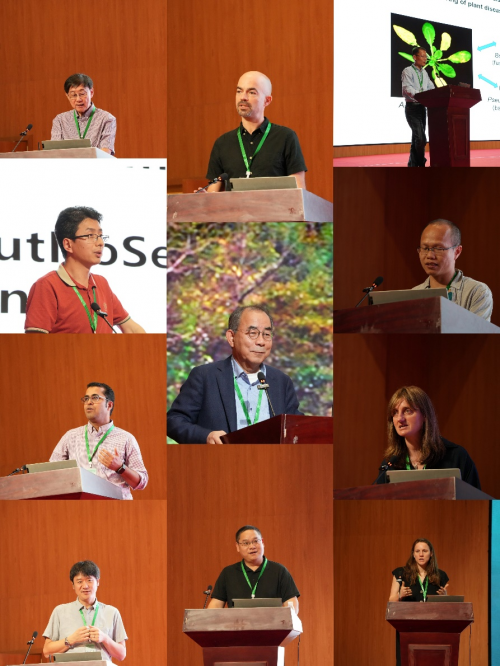 Phytopathology Research论坛暨科创中国交流会在崖召开