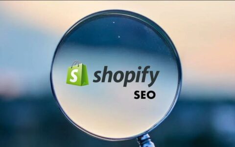 如何提升Shopify商店流量？新手卖家的SEO优化指南
