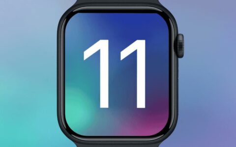 苹果发布watchOS 11.2 RC更新，升级潮汐App地图功能
