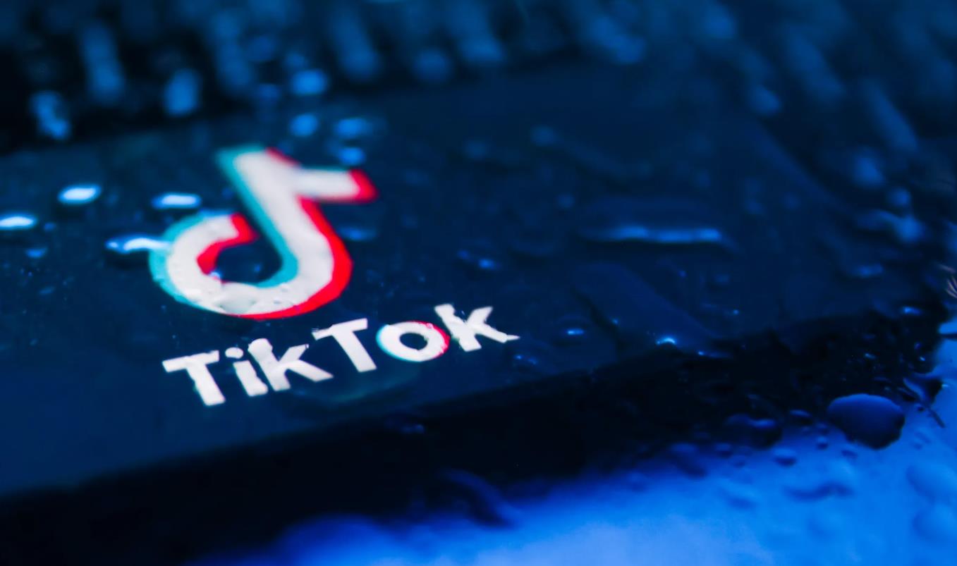 TikTok加拿大分公司挑战政府禁令，提出审查申请