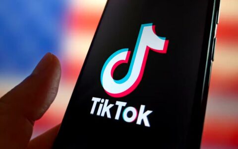 TikTok请求美国最高法院暂缓禁令以保运营