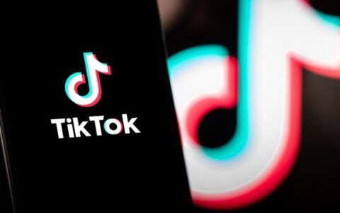 美国11月应用下载量排行：TikTok位居第二，TEMU位列第七