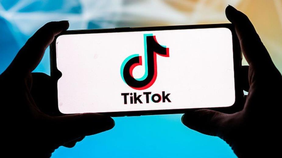 TikTok官方账号规则和权益升级指南教程