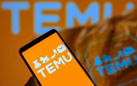 Temu电商平台巴西访问量激增，11月点击量破亿