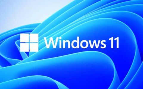 Windows 11 十二月更新引发新问题