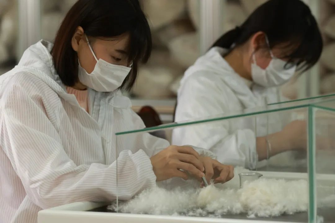 为了卖好羽绒服，京东服饰做了什么？