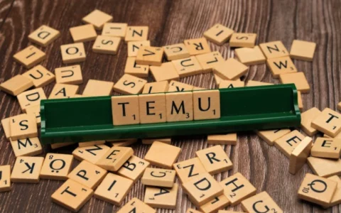 Temu越南搜索量激增961%    消费者购物习惯发生变化
