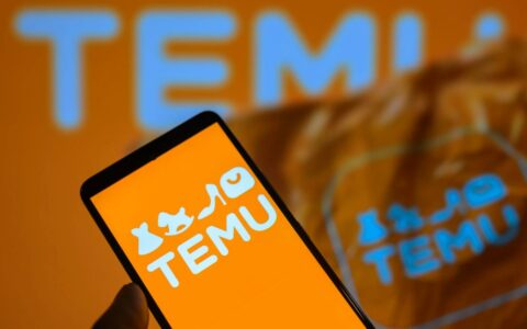 报告：Temu越南电商市场搜索量暴增961%