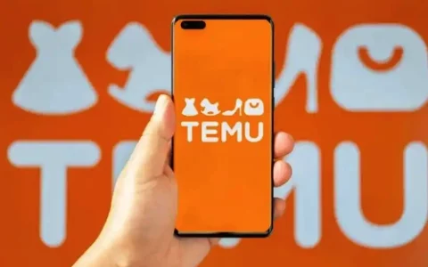 Temu 加强跨境商品说明书管控