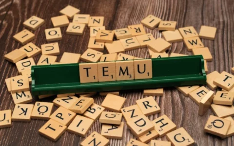 Temu携手UPS 推出欧盟单件商品上门揽收服务