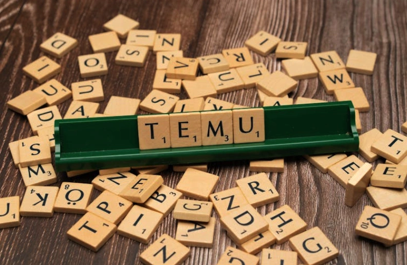 Temu携手UPS 推出欧盟单件商品上门揽收服务