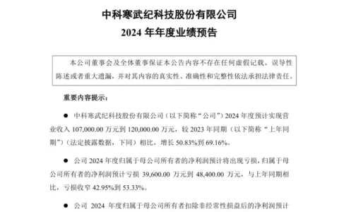 寒武纪2024年亏损额收窄 全年预亏3.96亿-4.84亿