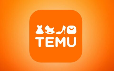 拼多多TEMU物流负责人访笨鸟速运 探讨国内段取货合作