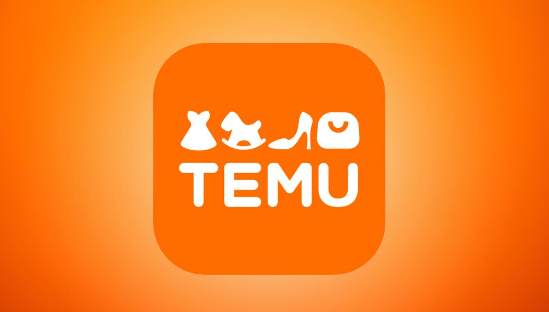 拼多多TEMU物流负责人访笨鸟速运 探讨国内段取货合作